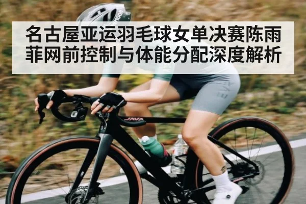 名古屋亚运羽毛球女单决赛陈雨菲网前控制与体能分配深度解析