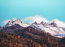 世界杯手机观看平台-好消息！申花被征召球员只是伤一个|上海申花|米内罗|鲁迪·盖伊|蒋圣龙|上海申花足球俱乐部_新浪体育_新浪新闻